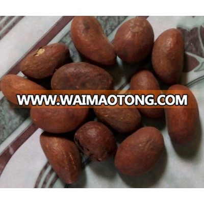 100% Pure Bitter Kola Nut /Healthy Garcinia Kola(Bitter Kola