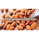 Tasty Raw and Roasted Almond Nuts