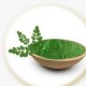 Pure moringa powder/High quality moringa for health benefits India origin/ spray dried powder