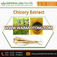 chicory/Chicory Powder/Chicory Extract Powder